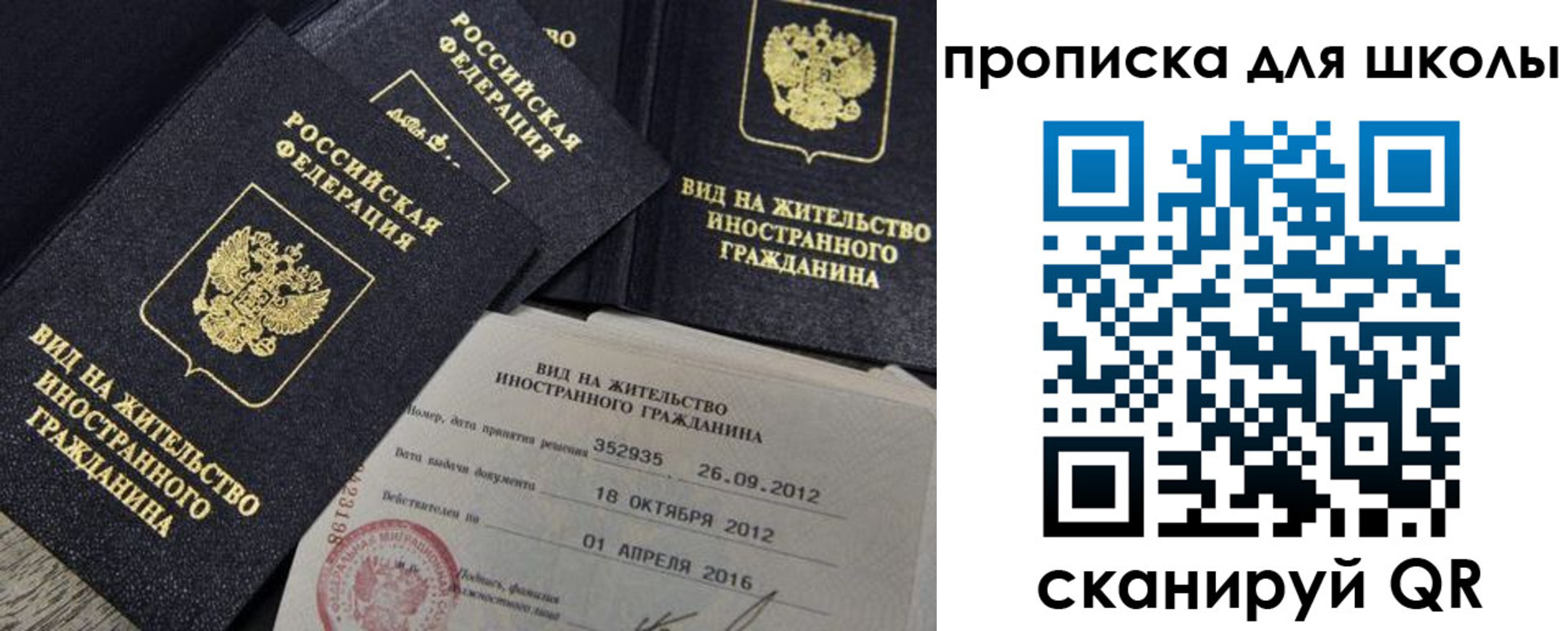 прописка паспорт в Мончегорске